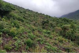 A picture containing outdoor, nature, mountain, hill

Description automatically generated