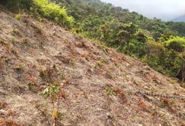 A picture containing outdoor, grass, nature, hill

Description automatically generated