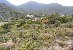 A landscape with a mountain range

AI-generated content may be incorrect.