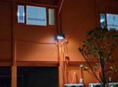 A building with a window and a plant

AI-generated content may be incorrect.