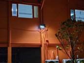 A tree in front of a building

AI-generated content may be incorrect.