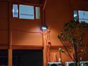 A tree next to a building

AI-generated content may be incorrect.