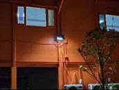 A tree outside of a building

AI-generated content may be incorrect.